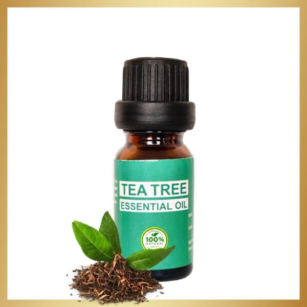 টি ট্রি এসেন্সিয়াল অয়েল - Tea Tree Essential Oil 10ml